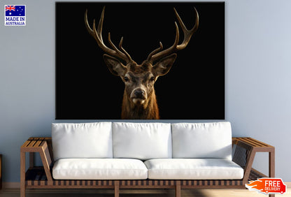 Deer Face Portrait Photograph Print 100% Australian Made
