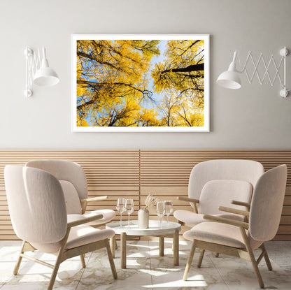 Yellow Leaves Trees Photograph Home Decor Premium Quality Poster Print Choose Your Sizes