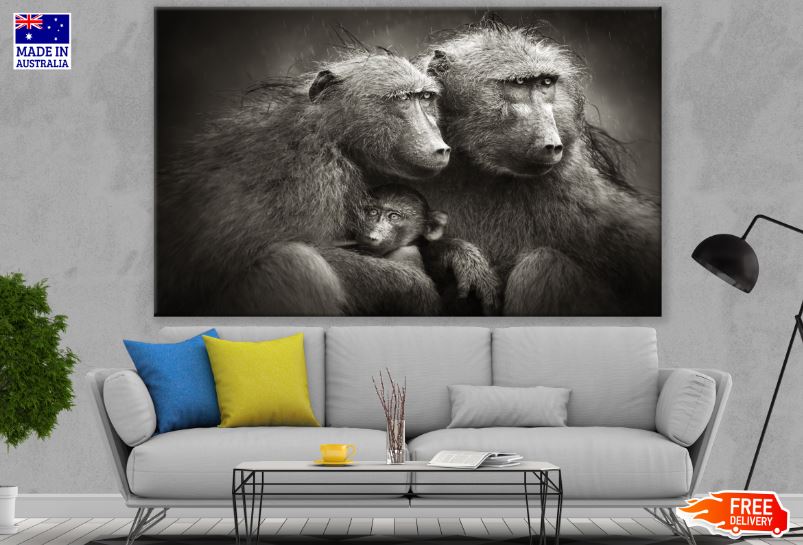 Baboons Couple & Baby B&W Photograph Print 100% Australian Made