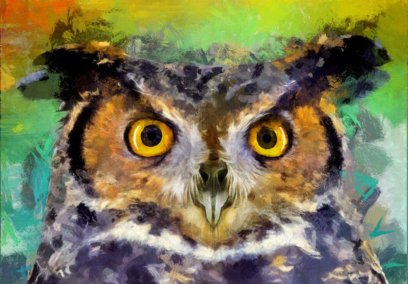 Owl Portrait Watercolour Painting Print 100% Australian Made