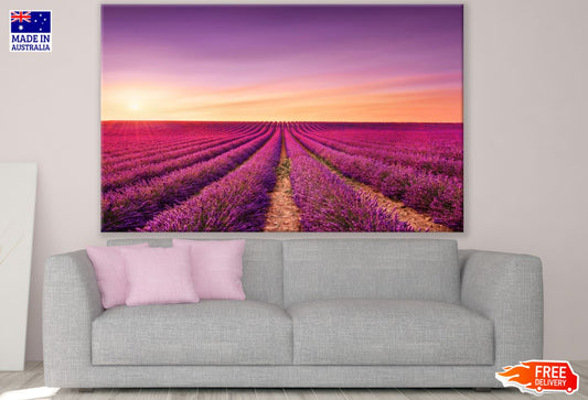 Lavender Field Scenery Photograph Print 100% Australian Made