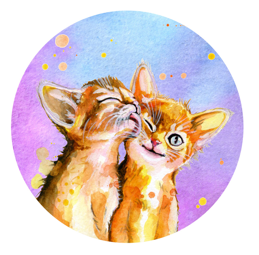 Square Canvas Kittens Love Portrait Watercolor Painting High Quality Print 100% Australian Made