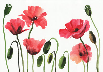 Red Poppy Flowers & Buds Painting Print 100% Australian Made