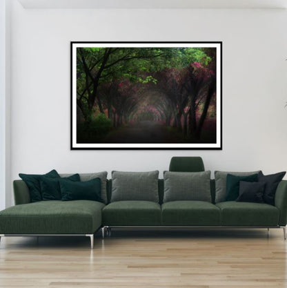 Deep Dark Forest Photograph Home Decor Premium Quality Poster Print Choose Your Sizes