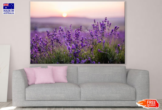 Purple Flowers Closeup Photograph Print 100% Australian Made