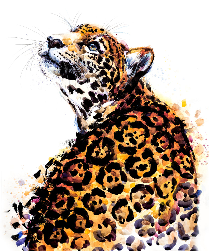 Jaguar Watercolor Painting Print 100% Australian Made