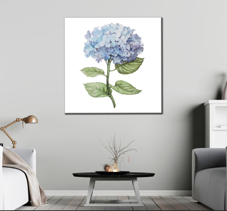 Square Canvas Hydrangea Floral Watercolor Painting High Quality Print 100% Australian Made