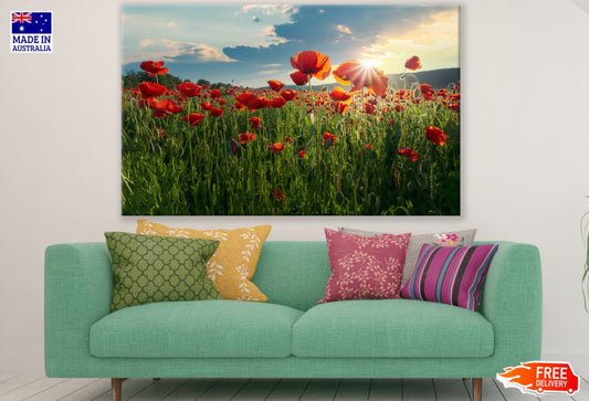 Tulip Field Scenery Photograph Print 100% Australian Made