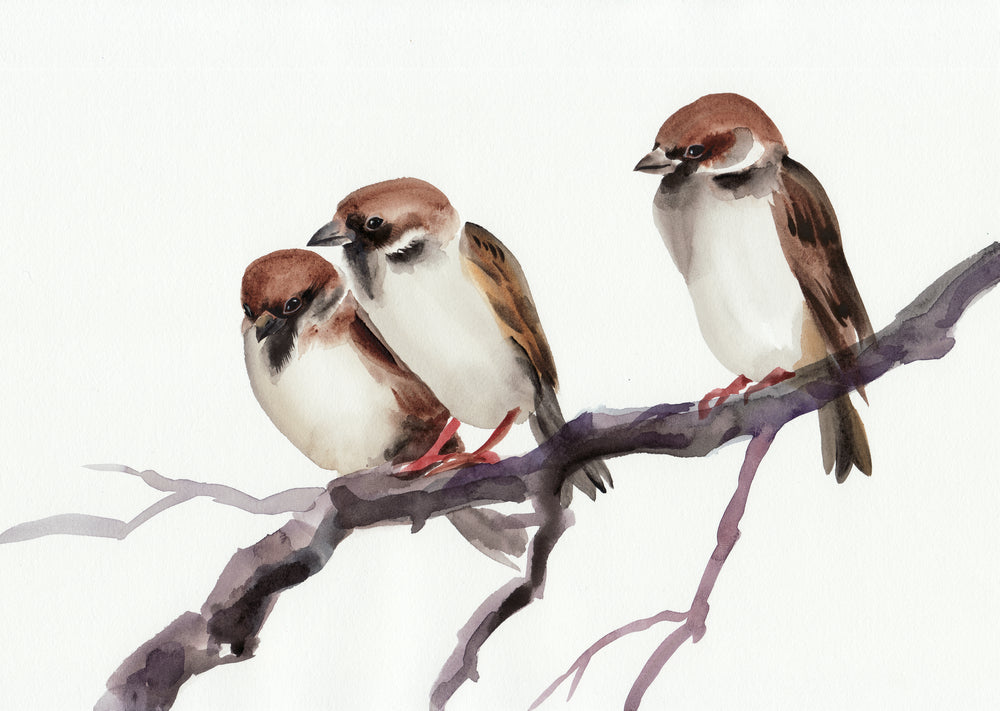 Small Birds Sitting On a Branch Painting Print 100% Australian Made