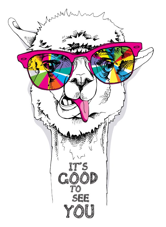 B&W Llama with Colourful Sunglasses Painting Print 100% Australian Made