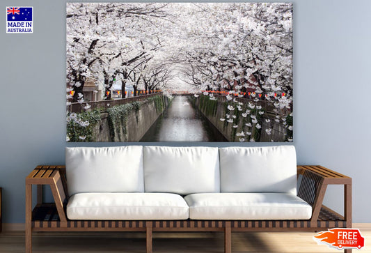 Canal & White Flower Trees View Print 100% Australian Made