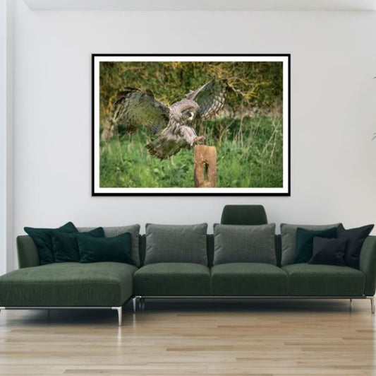 Flying Owl Closeup Photograph Home Decor Premium Quality Poster Print Choose Your Sizes