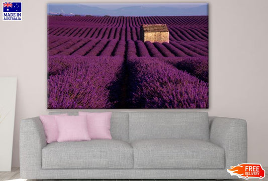 Lavender Field Photograph Print 100% Australian Made