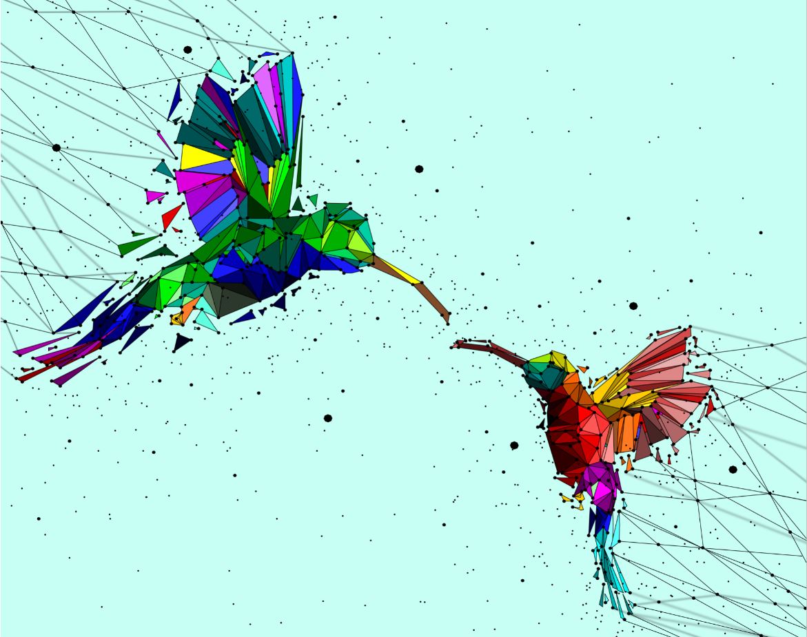 Two Birds Flying Abstract Art Print 100% Australian Made