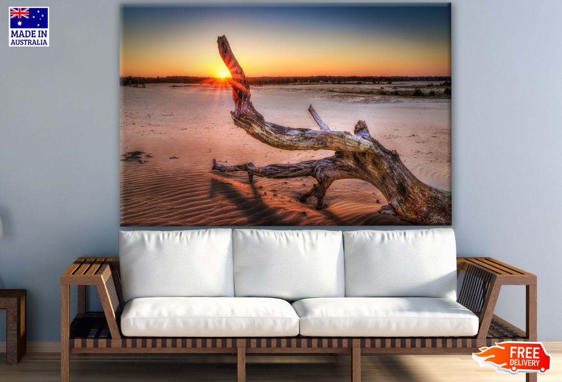 Dead Tree on Desert at Sunset Photograph Print 100% Australian Made