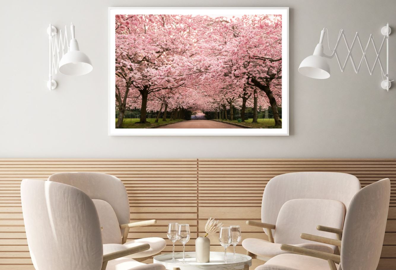 Blossom Trees Park Photograph Home Decor Premium Quality Poster Print Choose Your Sizes