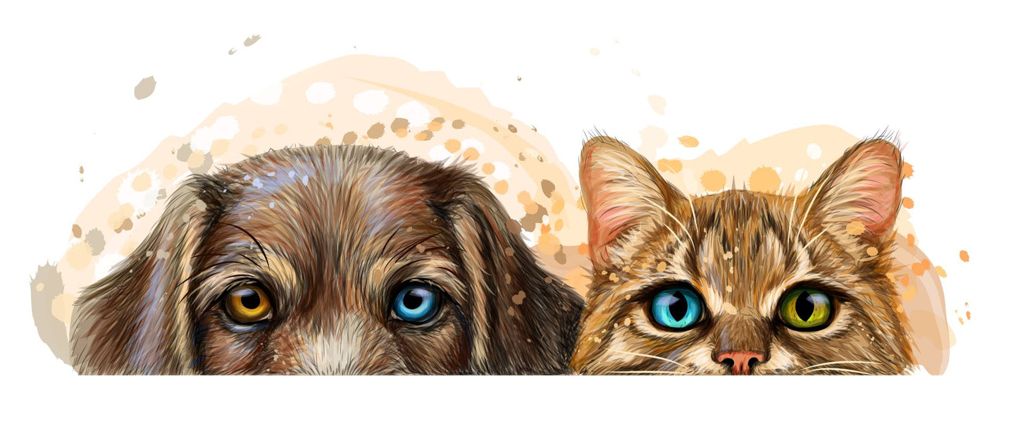 Cat & Dog with Two Color eyes Painting Print 100% Australian Made