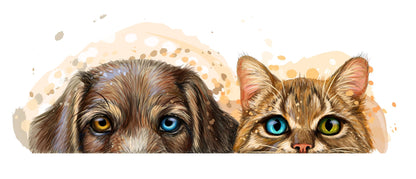 Cat & Dog with Two Color eyes Painting Print 100% Australian Made