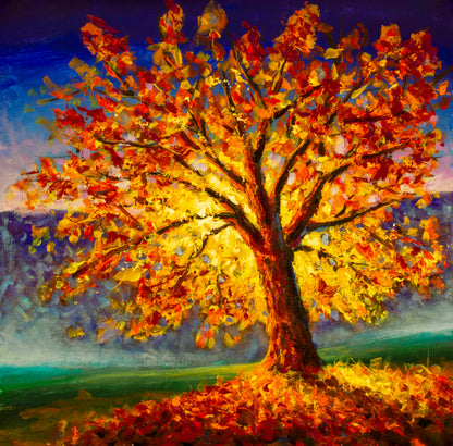 Square Canvas Autumn Tree Design High Quality Print 100% Australian Made