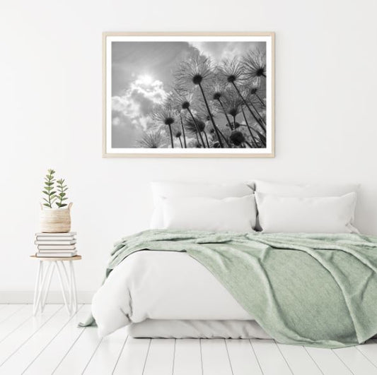 Flower Beneath View B&W Scenery Photograph Home Decor Premium Quality Poster Print Choose Your Sizes