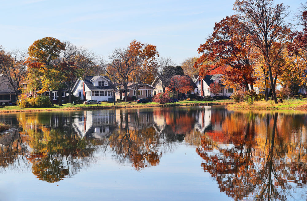 Lake & Forest Scenery Photograph Home Decor Premium Quality Poster Print Choose Your Sizes