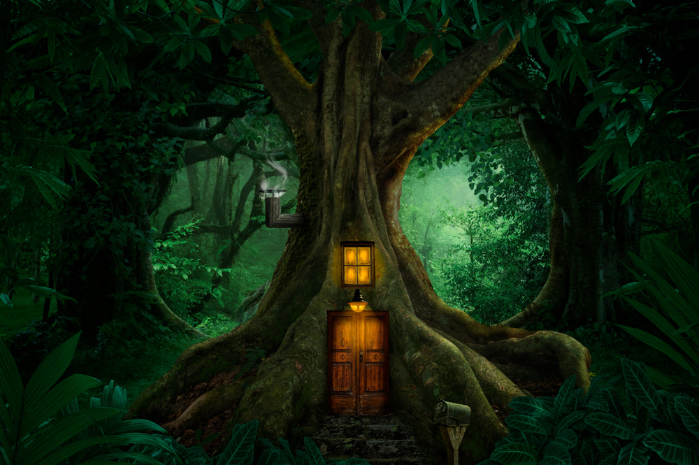 Tree House in Deep Forest Photograph Print 100% Australian Made