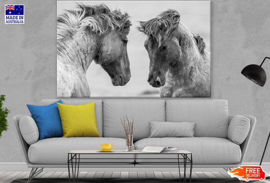 Horses Portrait B&W Photograph Print 100% Australian Made
