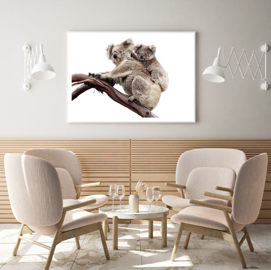 Koala & Baby on Tree Photograph Home Decor Premium Quality Poster Print Choose Your Sizes