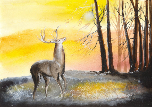 Deer in Forest Watercolour Painting Print 100% Australian Made
