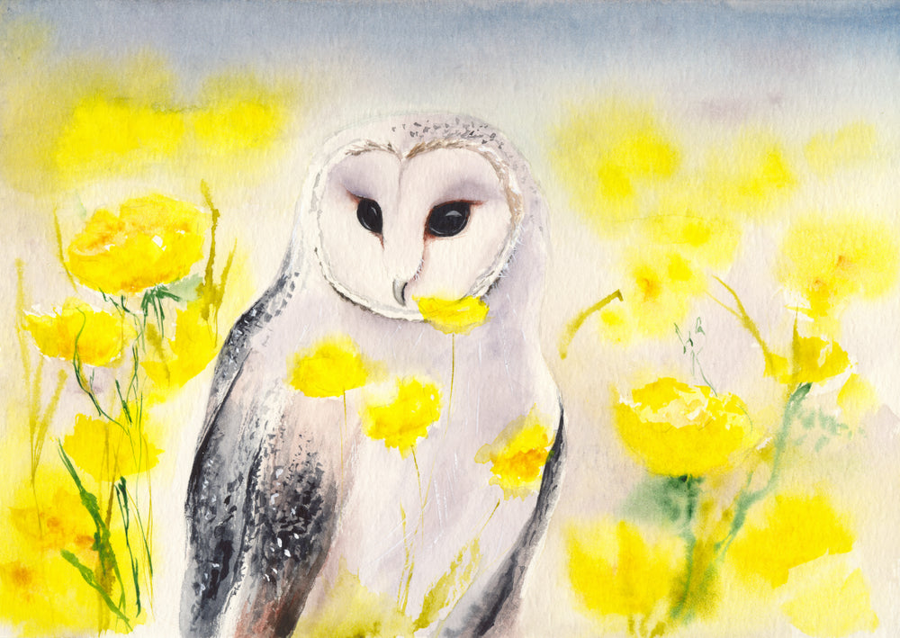 Owl with Bright Yellow Flowers Painting Print 100% Australian Made