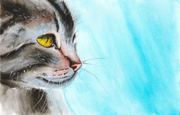 Cat Closeup Portrait Watercolour Painting Print 100% Australian Made