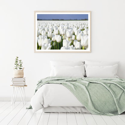 White Tulips Field Photograph Home Decor Premium Quality Poster Print Choose Your Sizes