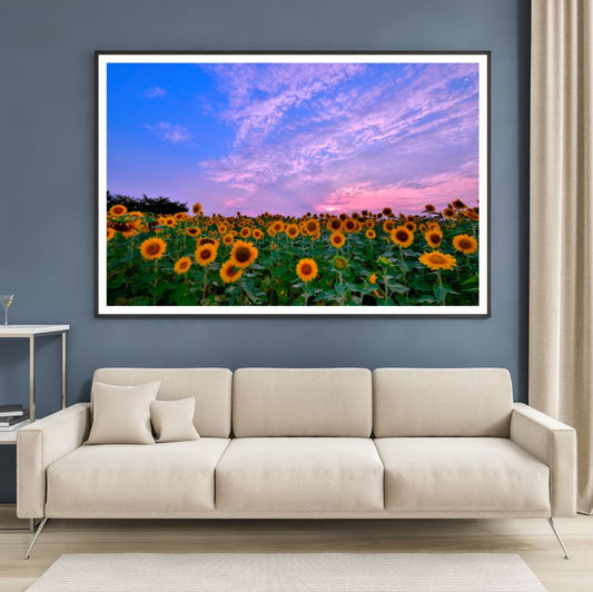 Sunflower Field Sunset Photograph Home Decor Premium Quality Poster Print Choose Your Sizes