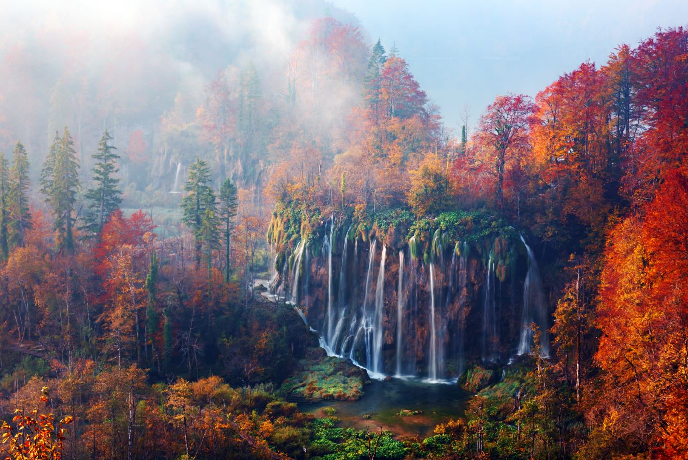 Autumn Forest with Mist Photograph Print 100% Australian Made