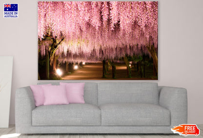 Blossom Tree Closeup Photograph Print 100% Australian Made