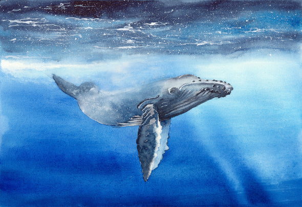 Whale Swimming in Sea Painting Print 100% Australian Made