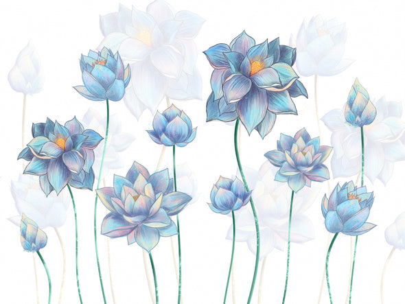 Pale Blue Lotus Flowers on White Background Painting Print 100% Australian Made