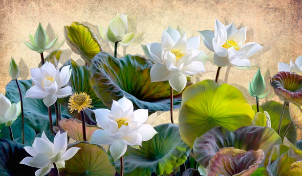 Blooming White Lotus Flowers with Green Leaves Painting Print 100% Australian Made