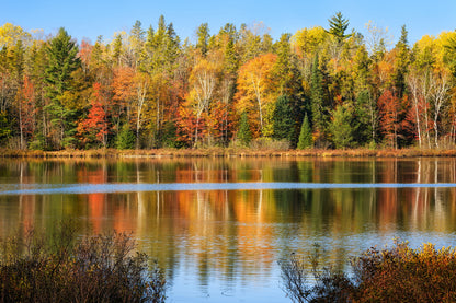 Lake & Forest Scenery Photograph Home Decor Premium Quality Poster Print Choose Your Sizes