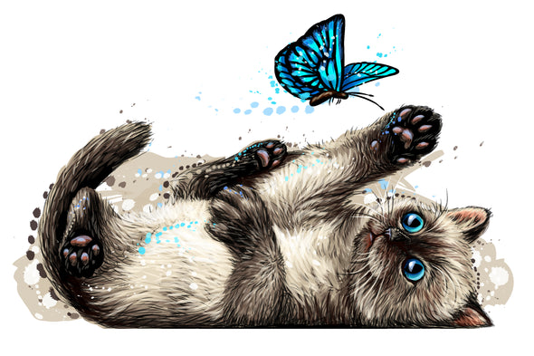 Cat Blue Butterfly Playing Painting Print 100% Australian Made