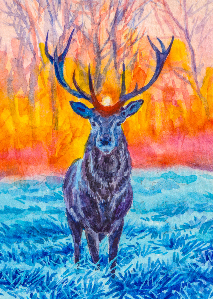 Deer with Antlers in the Autumn Forest Sunset Watercolour Painting Print 100% Australian Made