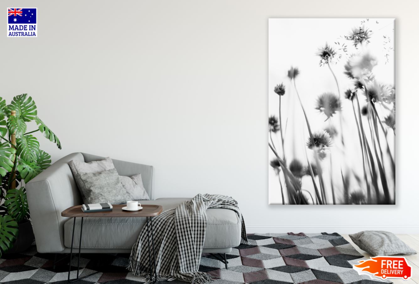 Flowers Shot from Beneath B&W Photograph Print 100% Australian Made