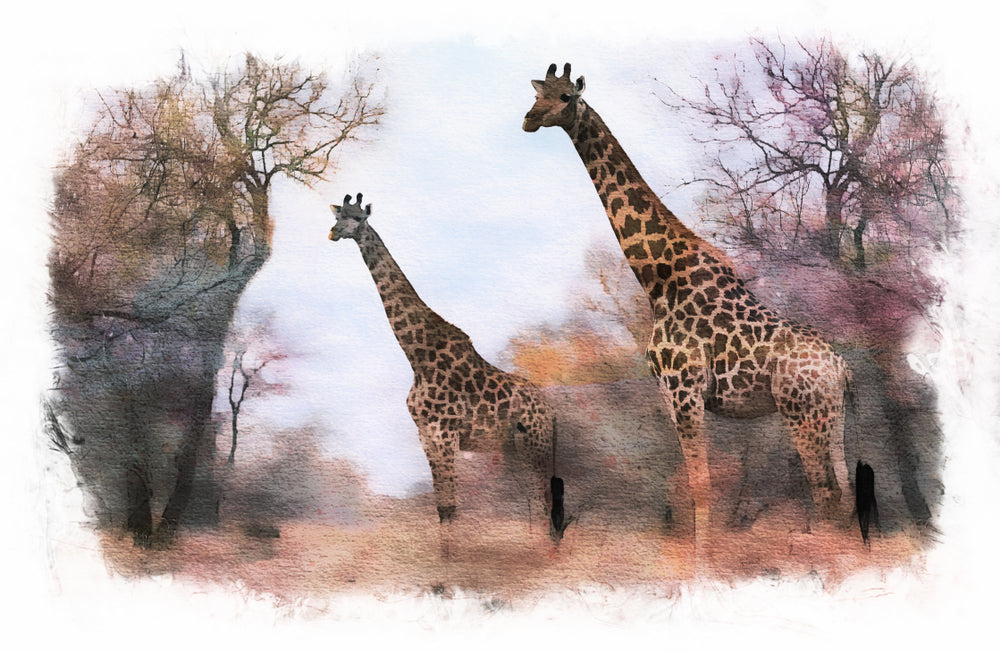 Giraffes in Forest Painting Home Decor Premium Quality Poster Print Choose Your Sizes