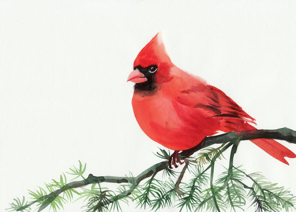 Cardinal Bird On a Branch Painting Print 100% Australian Made