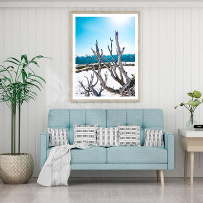 Dead Tree on Snow Photograph Home Decor Premium Quality Poster Print Choose Your Sizes