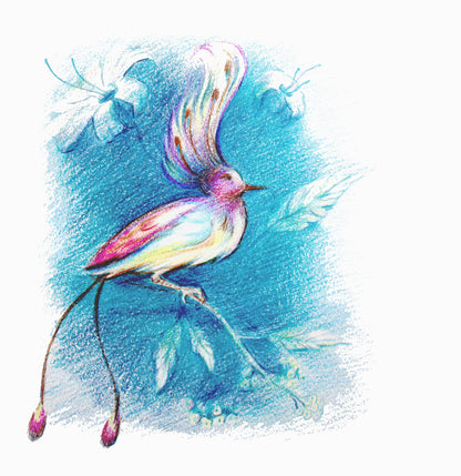 Colourful Bird Painting Print 100% Australian Made