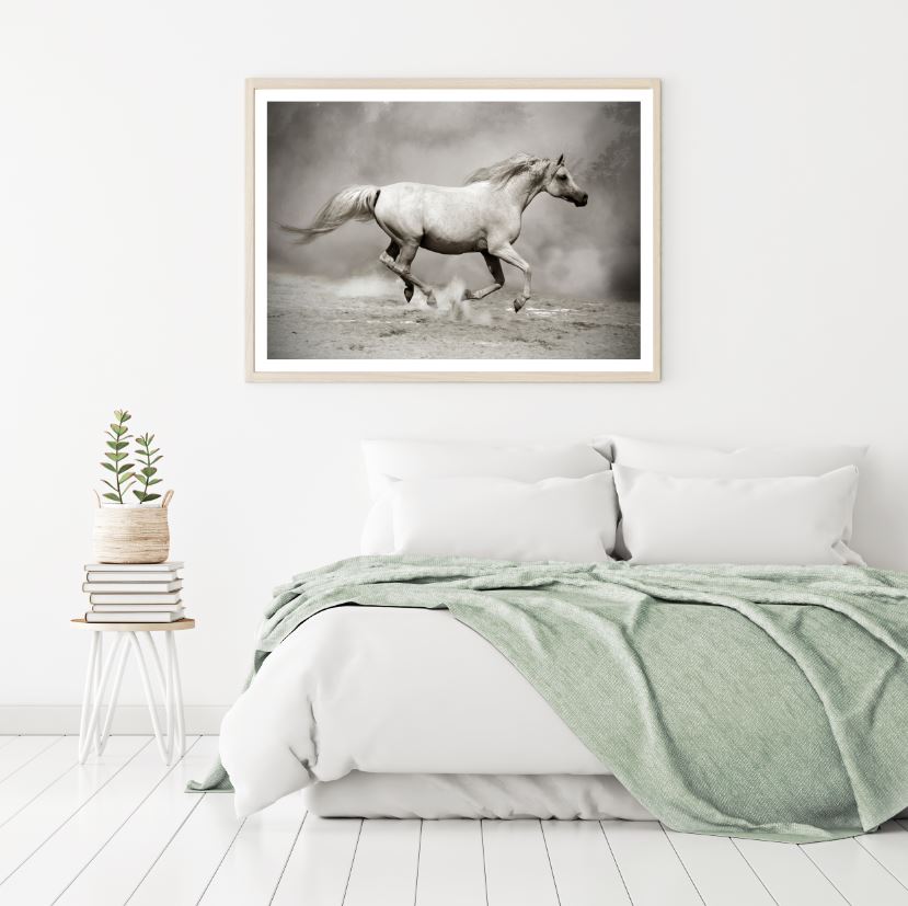 Horse Running B&W Photograph Home Decor Premium Quality Poster Print Choose Your Sizes