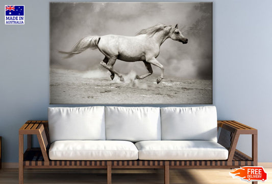 Running Horse B&W Photograph Print 100% Australian Made