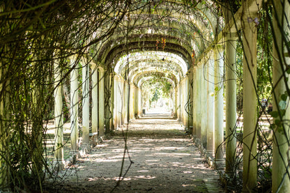 Garden Tree Tunnel Photography Print 100% Australian Made