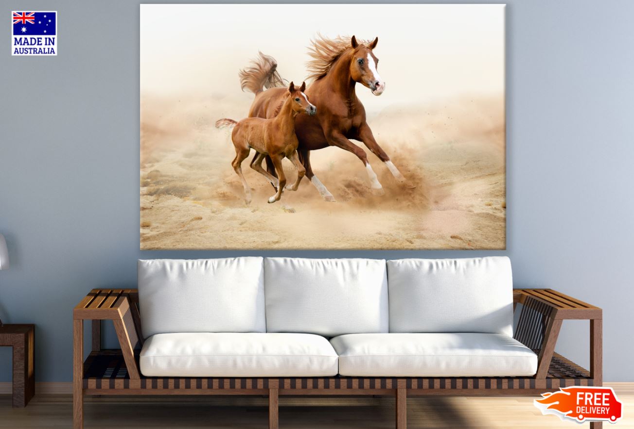 Horse Running on Sand Photograph Print 100% Australian Made